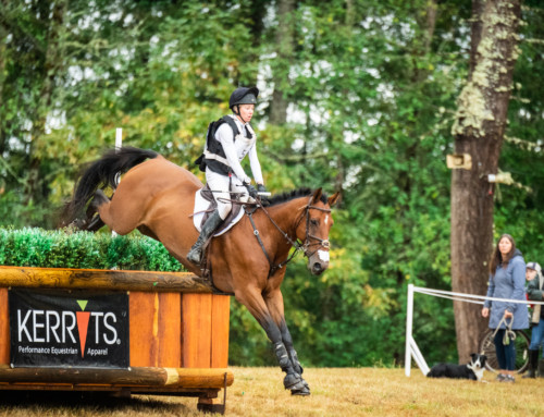 USEA Area VII Crowns Champions; Sophie Click Wins $4,000 Tin Men Supply Advanced