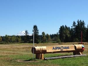 Aspen Farms cross country jump