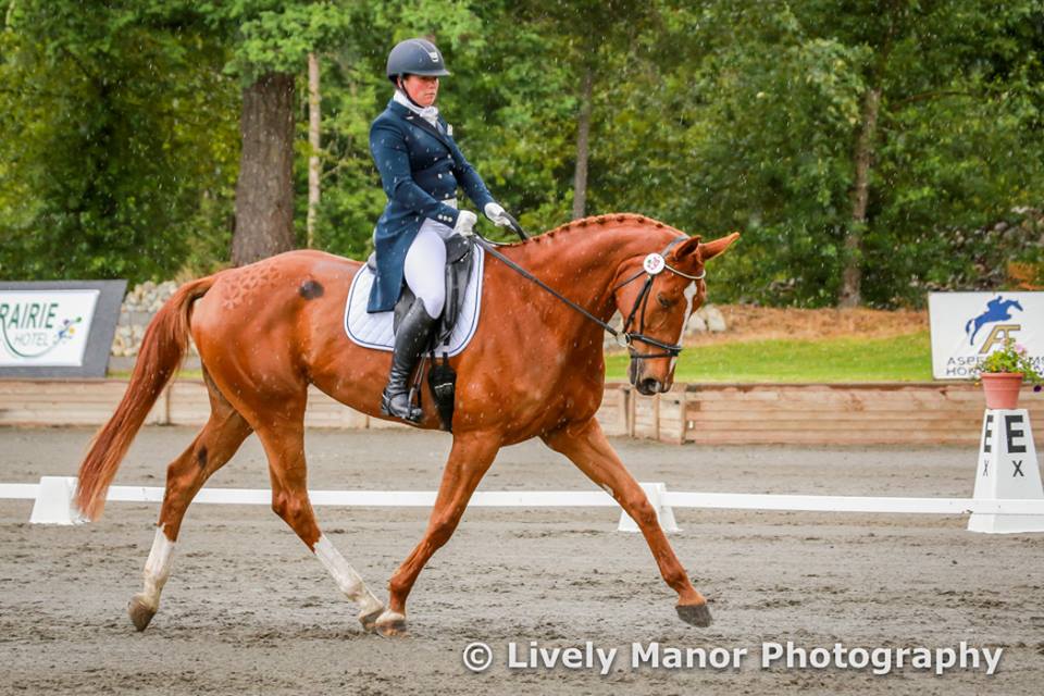 Sara Sellmer and Rubia, CIC1* dressage leaders.