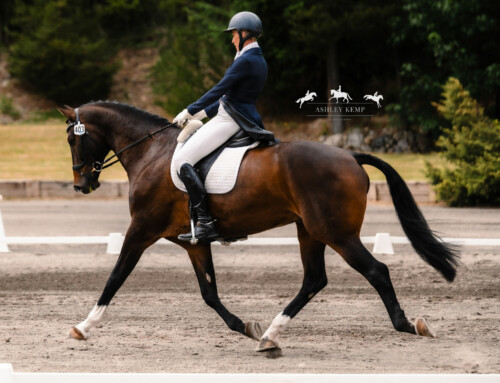 Karen O’Neal and Clooney 14 Lead the CCI4*-S at Aspen Farms After Dressage