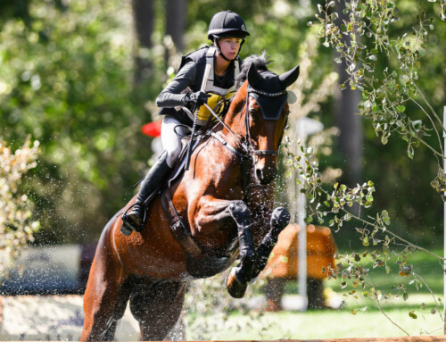 Day 2 Recap: Aspen Farms Horse Trials and USEA Area VII Championships