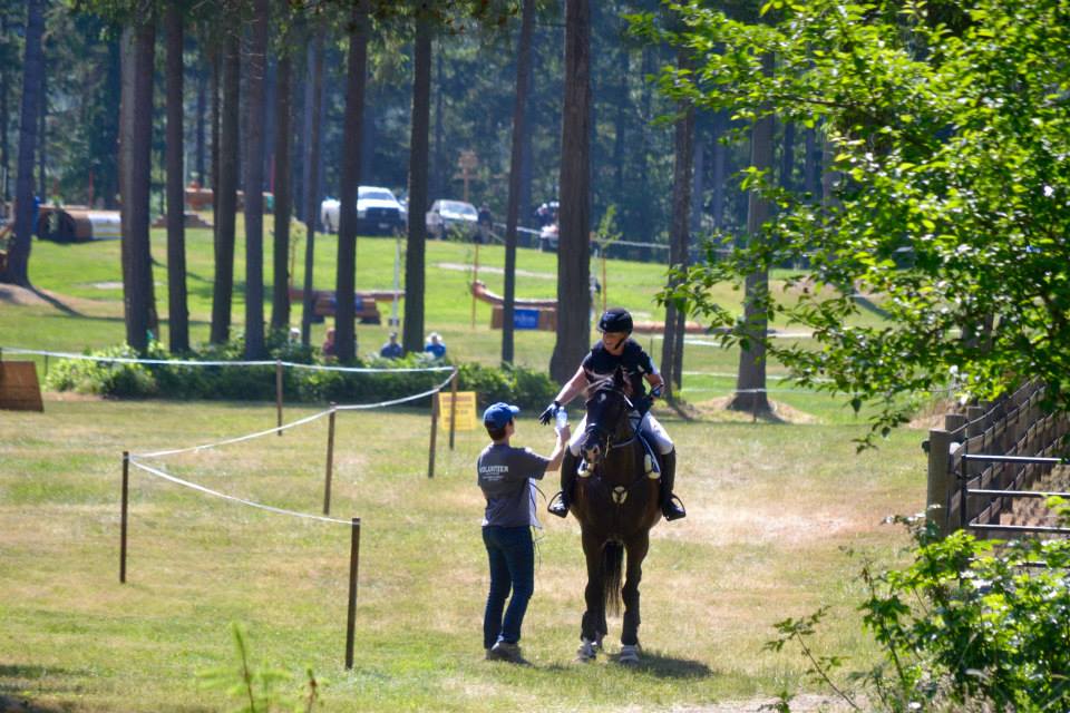 Volunteer helping with three-day eventing cross-country